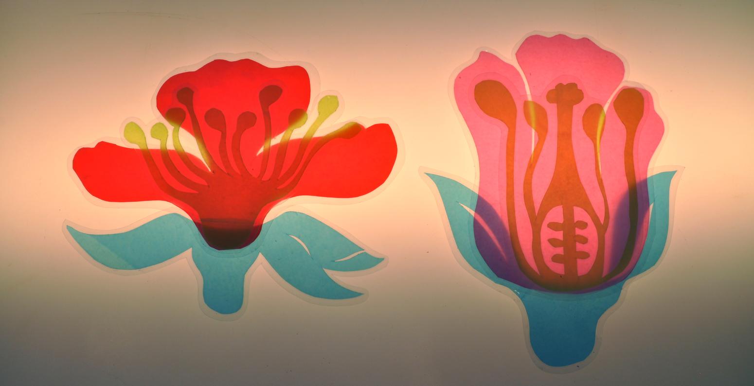 Laminated paper shapes sitting on a light table and stacked to create two separate flower arrangements.