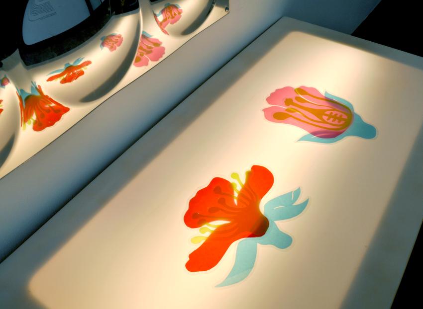 Laminated flower interactive sitting on top of a light table with the reflection of the flowers seen in the mirror reflection on the wall.