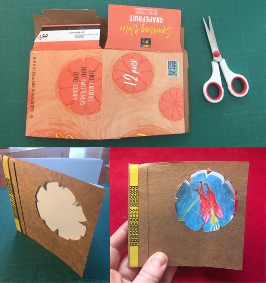 Three images, one of a seltzer box and a pair of scissors, another where the box has been turned into a book where a flower shape has been cut out of the cover, and the third image shows a drawing of wild columbine flowers behind the flower cut-out.