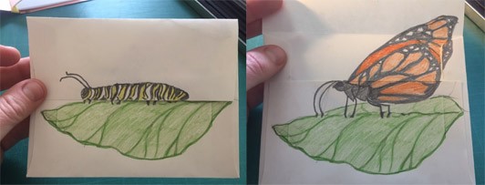 Two images, one with a drawing on an envelope of a monarch caterpillar on a leaf, and another picture where the flap on the envelope opens to reveal a monarch butterfly on a leaf.