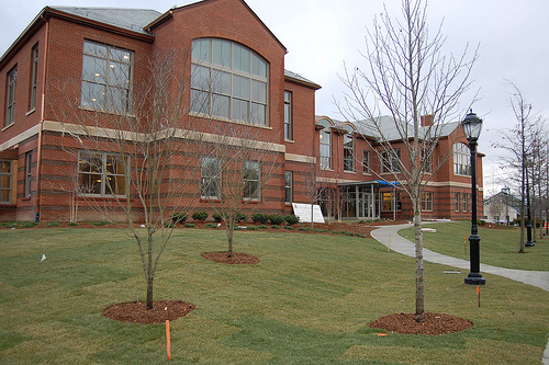 Outreach To Darien Library Carle Museum