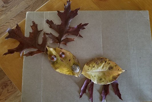 Collage of a moose with oak leaves for the horns and acorns for the eyes.