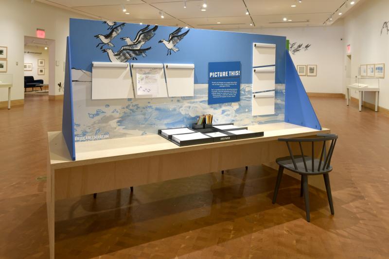 Speechless The Art of Wordless Picture Books Carle Museum