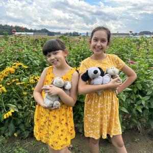 Sisters Emma and Belley standing in a dandelion field wearing yellow dresses and holding stuffed animals.