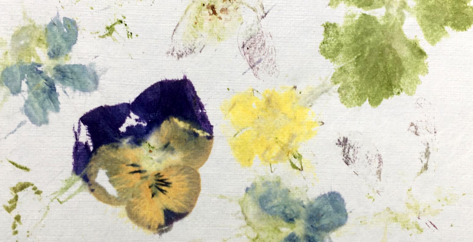 200522_springtime_art_gardens_17.jpg Print made from pressed springtime flowers