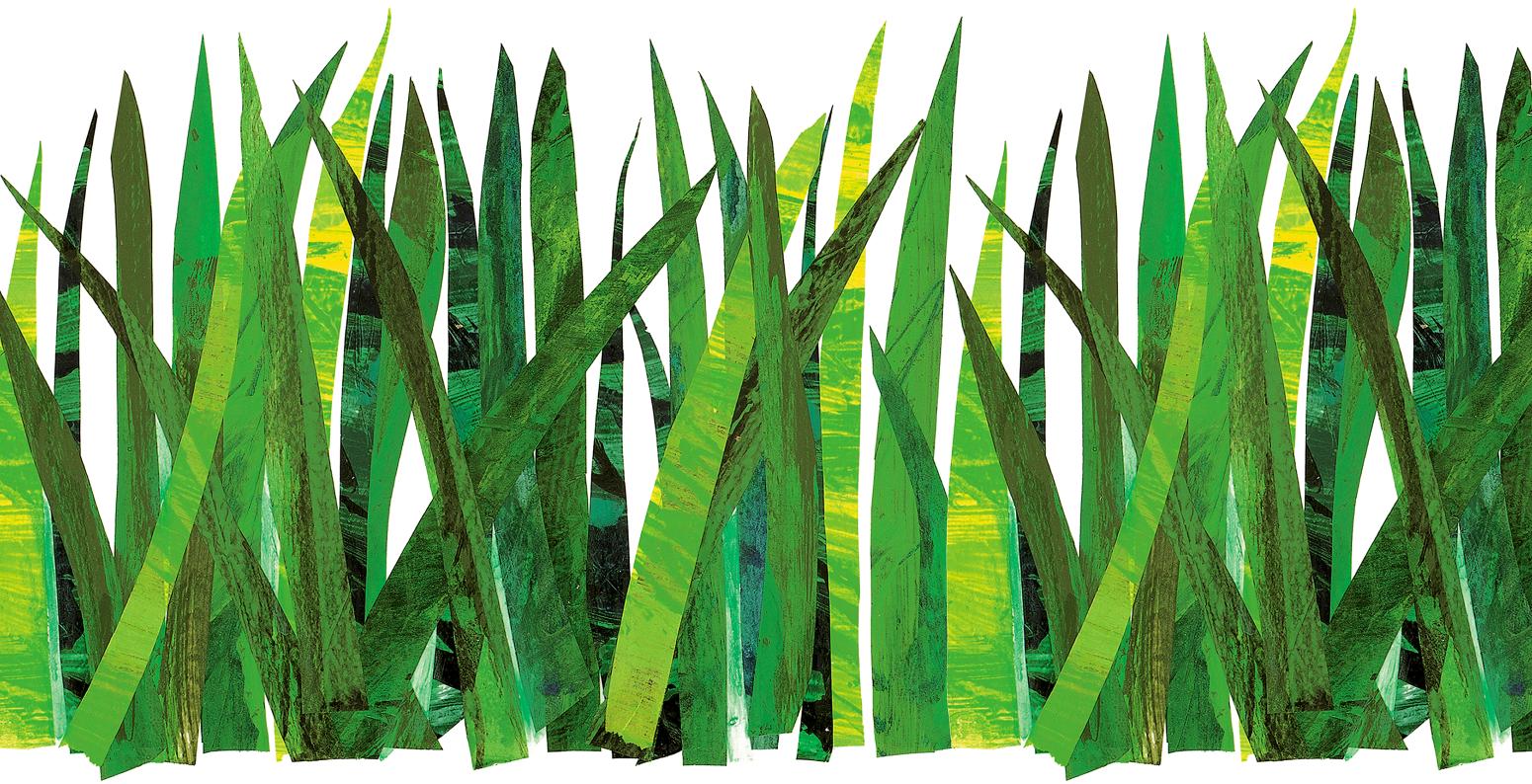 Illustration of grass with collaged green tissue paper.