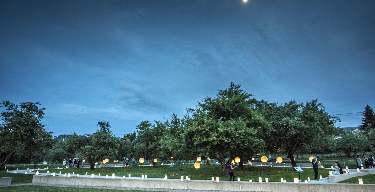 Photograph of the meadow by moonlight
