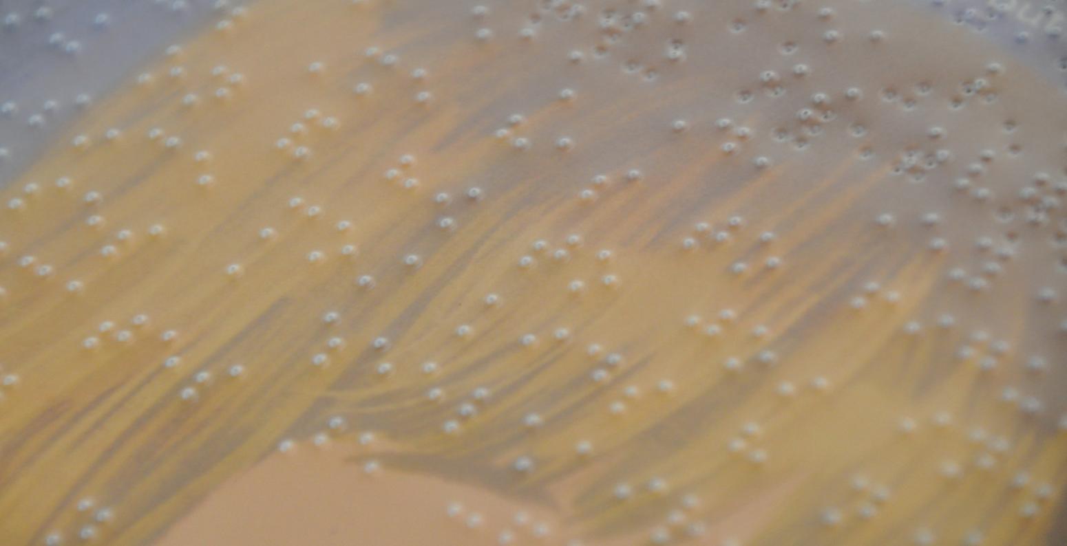 Detail of braille book