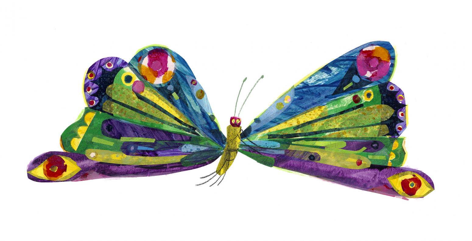 Illustration of brightly colored butterfly 