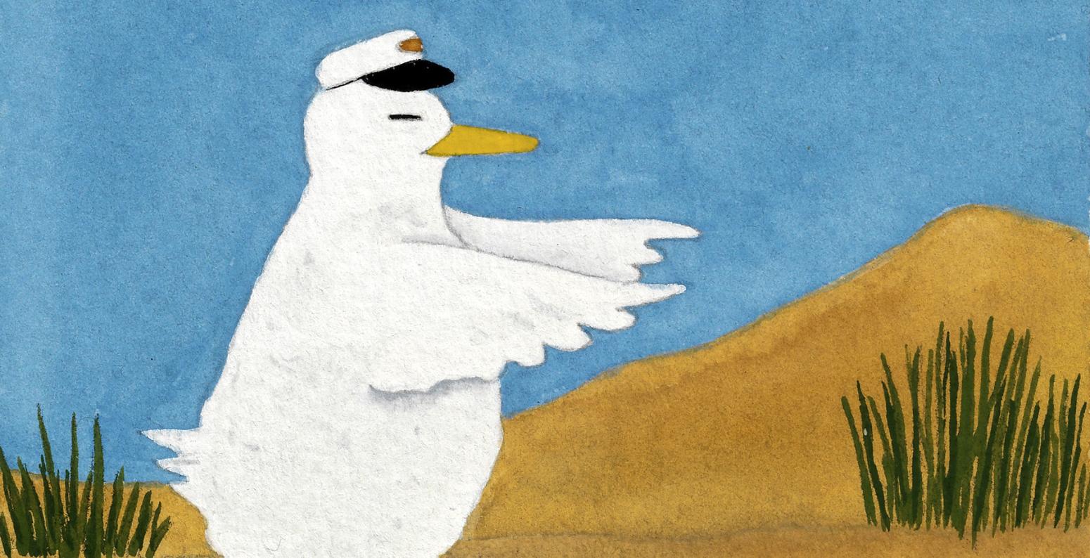 illustration of white duck wearing a cap and walking with his eye closed and wings reaching out infront of him, tan colored ground and blue sky background