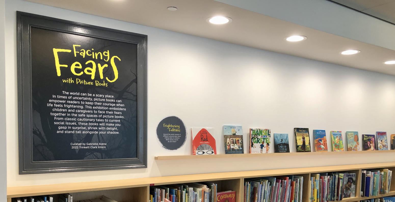 Facing Fears book exhibition, showing intro text and a ledge of books on display.