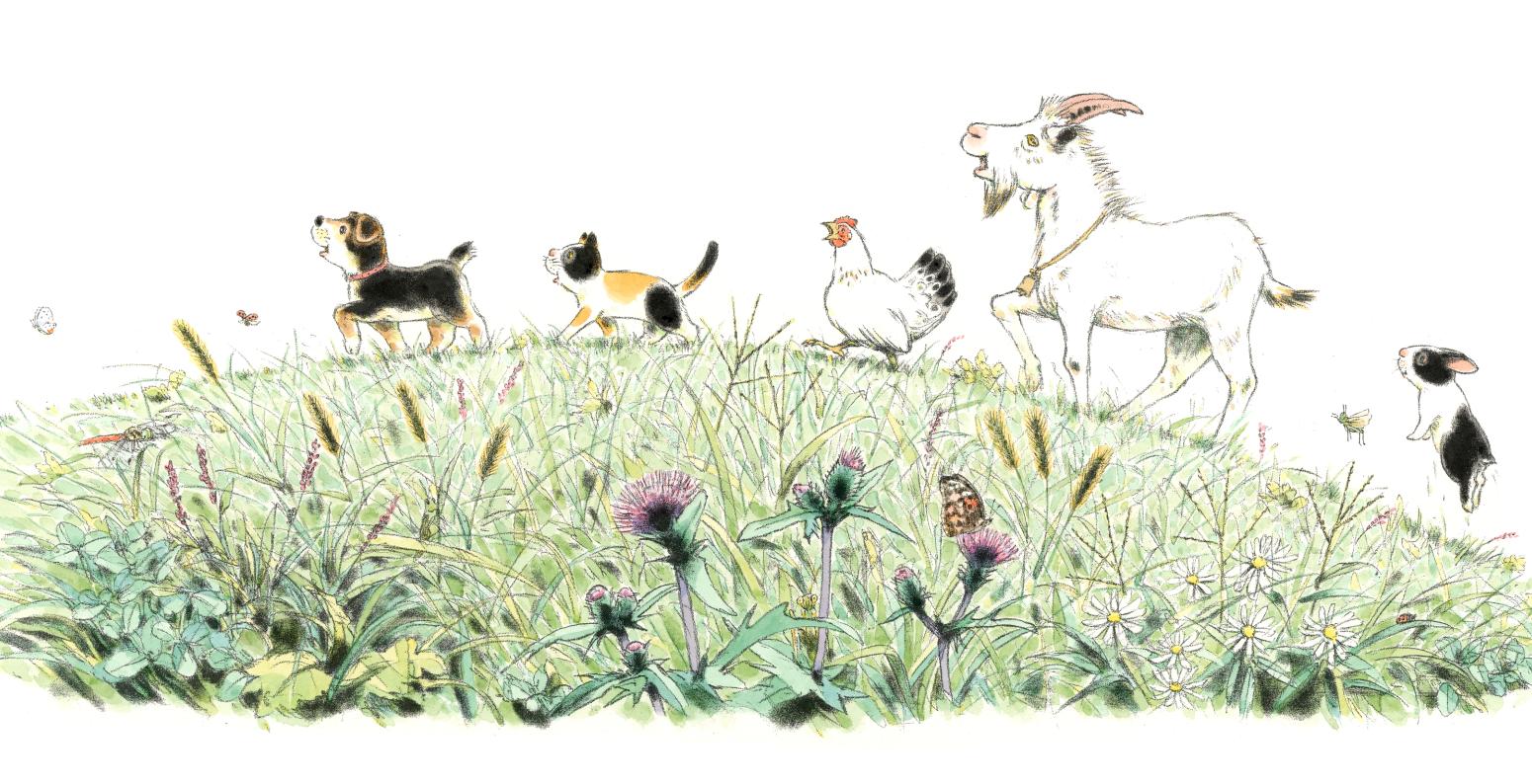 Illustration of dog, cat, rooster, goat, and cat walking on flowery hill. 