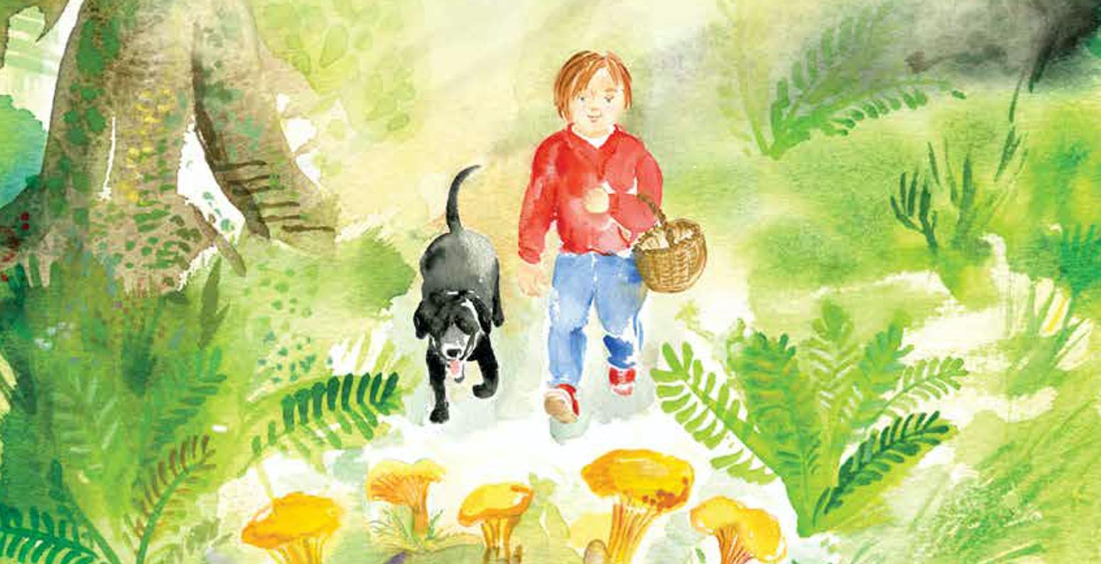 Child and dog walking through trees, with mushrooms on the ground in front of them.