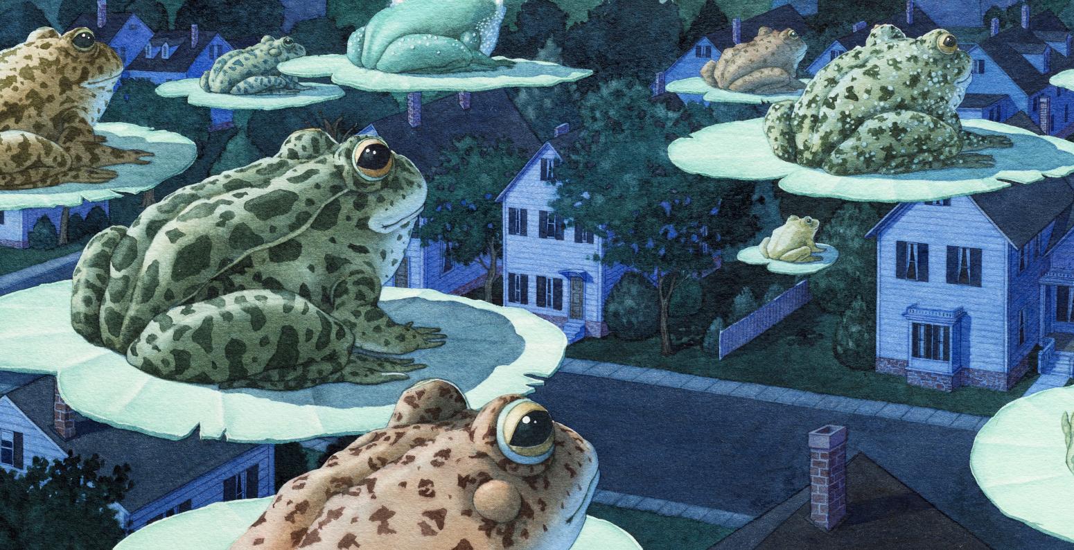 Illustration of flying frogs over houses. 