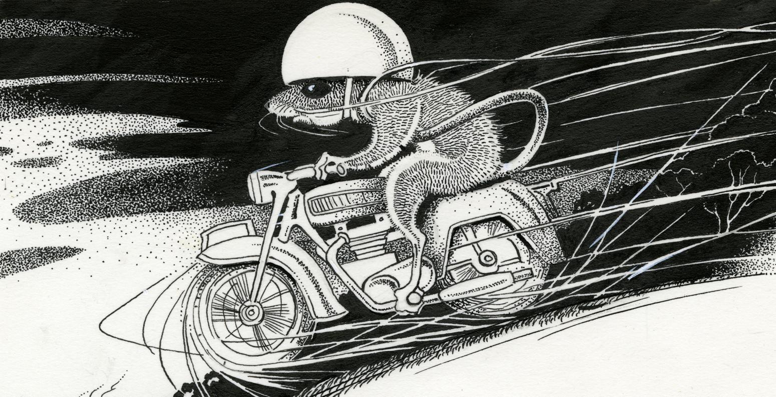 Illustration of mouse riding motorcycle down hill. 