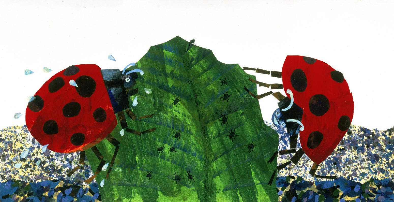 Illustration of ladybugs on leaf
