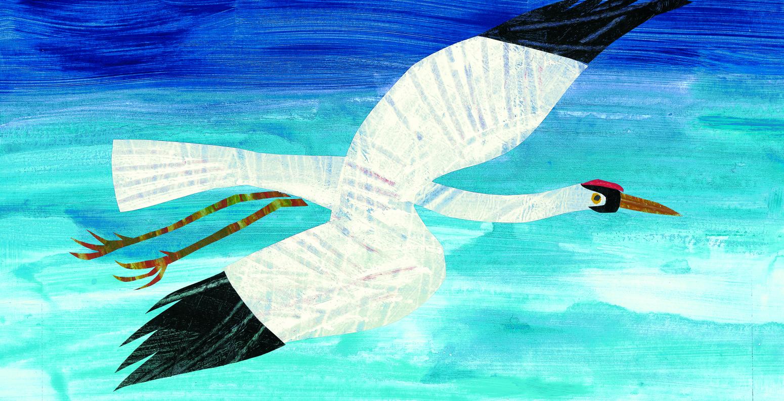 Illustration of a white bird flying. 