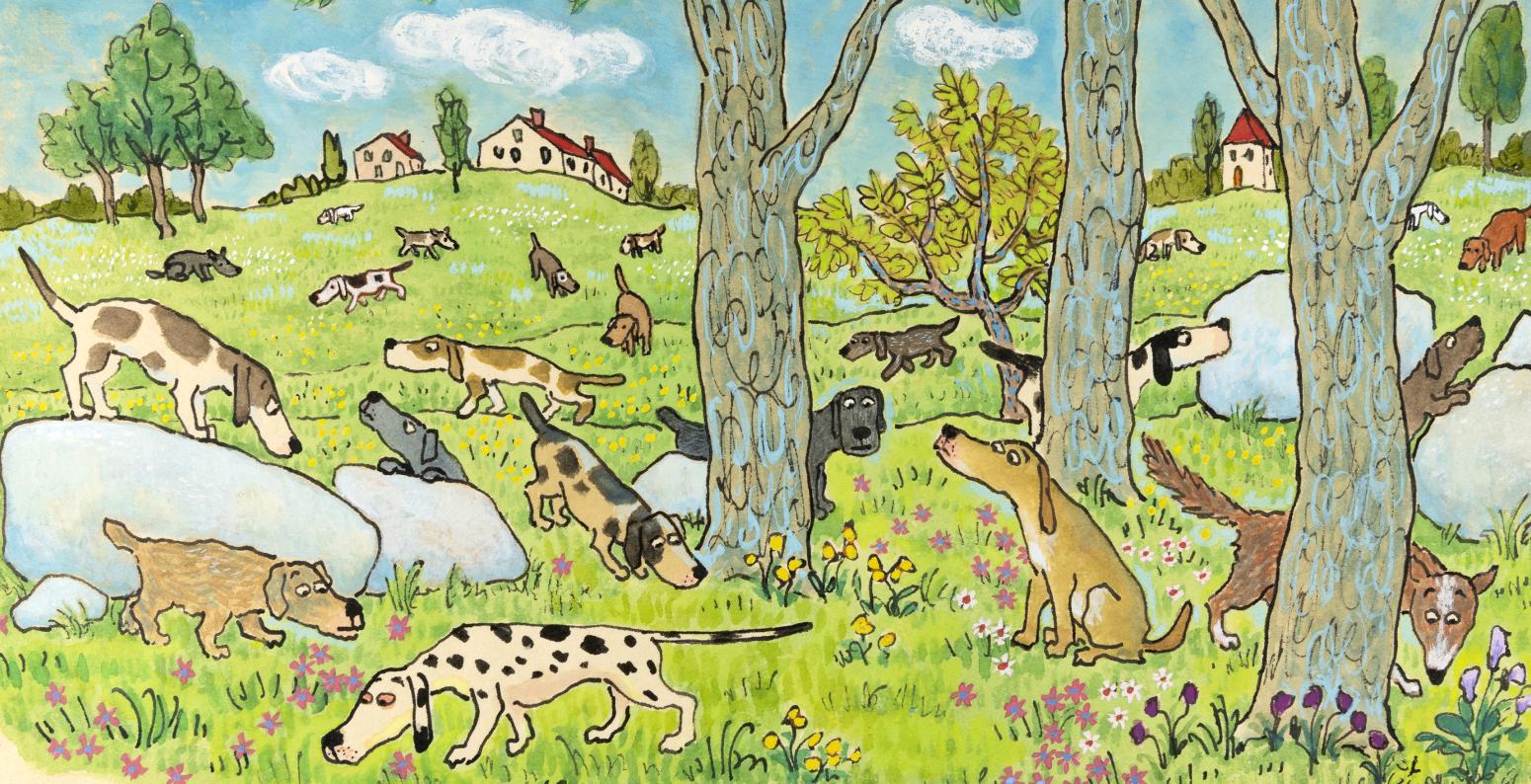 Illustration of dogs searching amongst rocks and trees. 