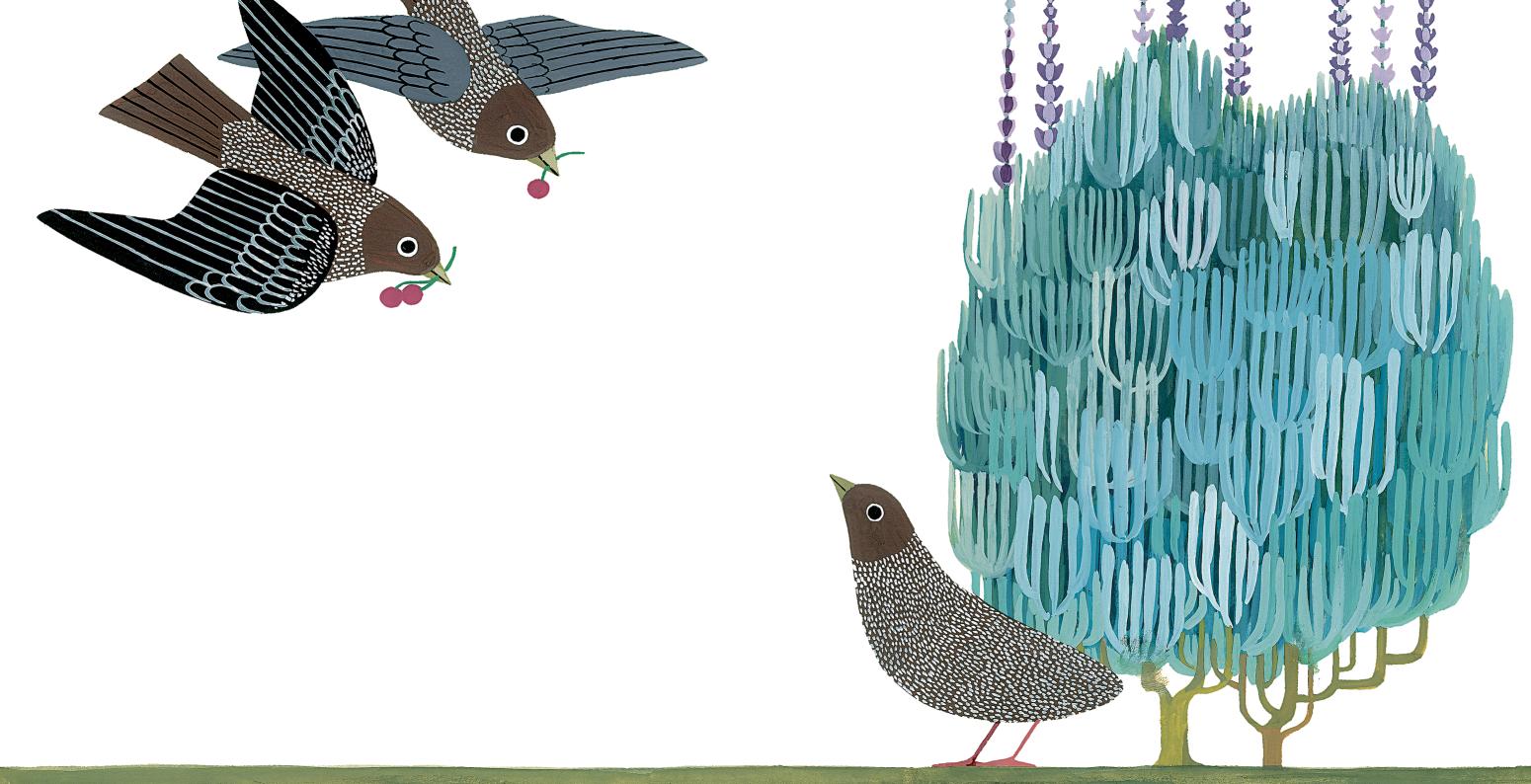 Illustration of  two birds landing near bush and another bird. 