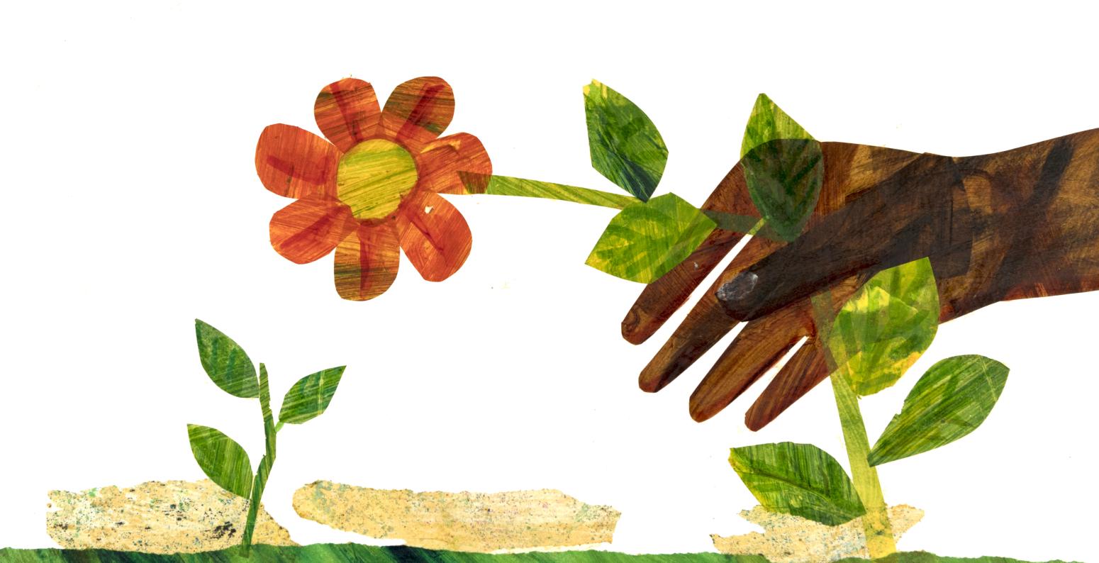a hand picks a red flower growing in the green grass.