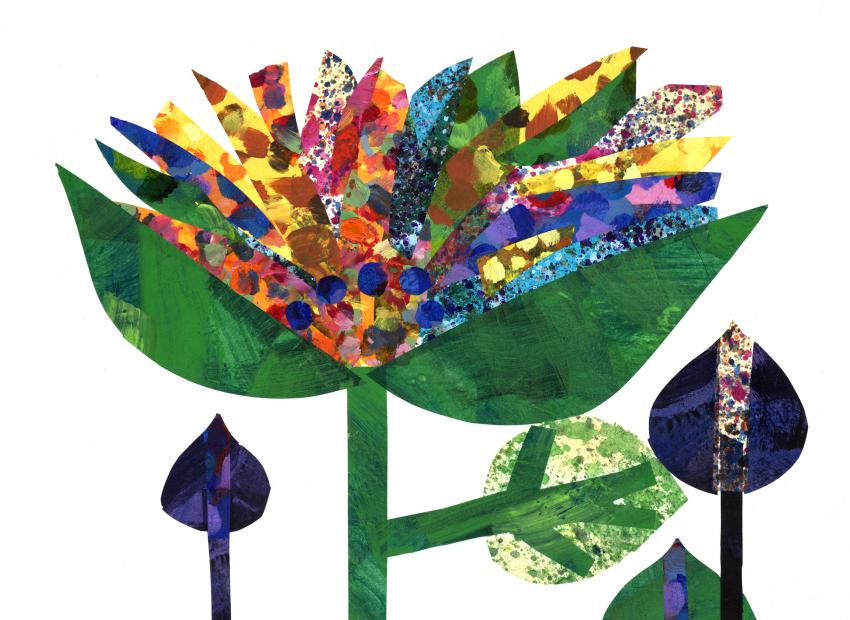 Eric Carle illustration of flowers with colorful seed pods 