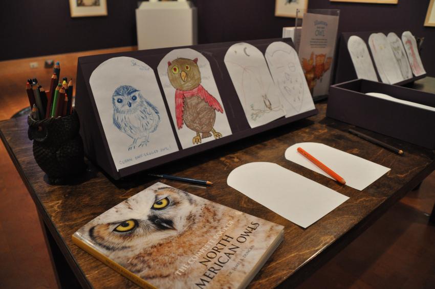 A table with drawing materials, a photography book about owl, and drawings of owls. 
