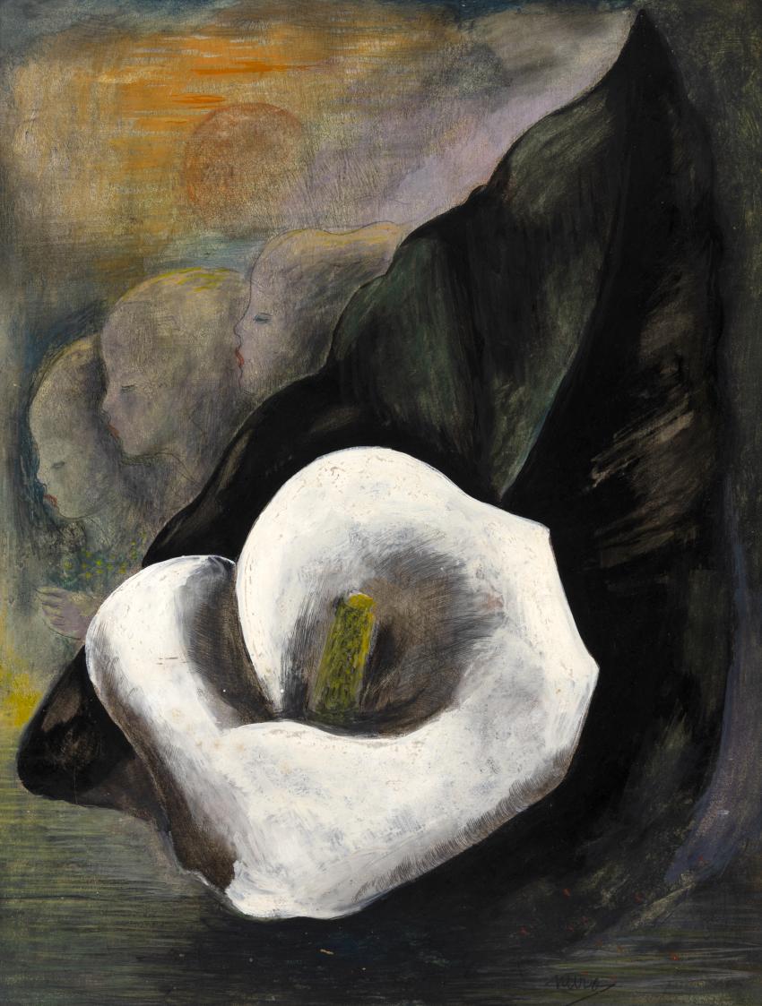Painting of calla lily. 