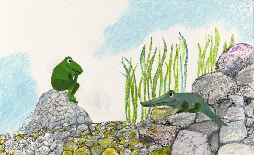 Illustration of frog and lizard on rocks. 