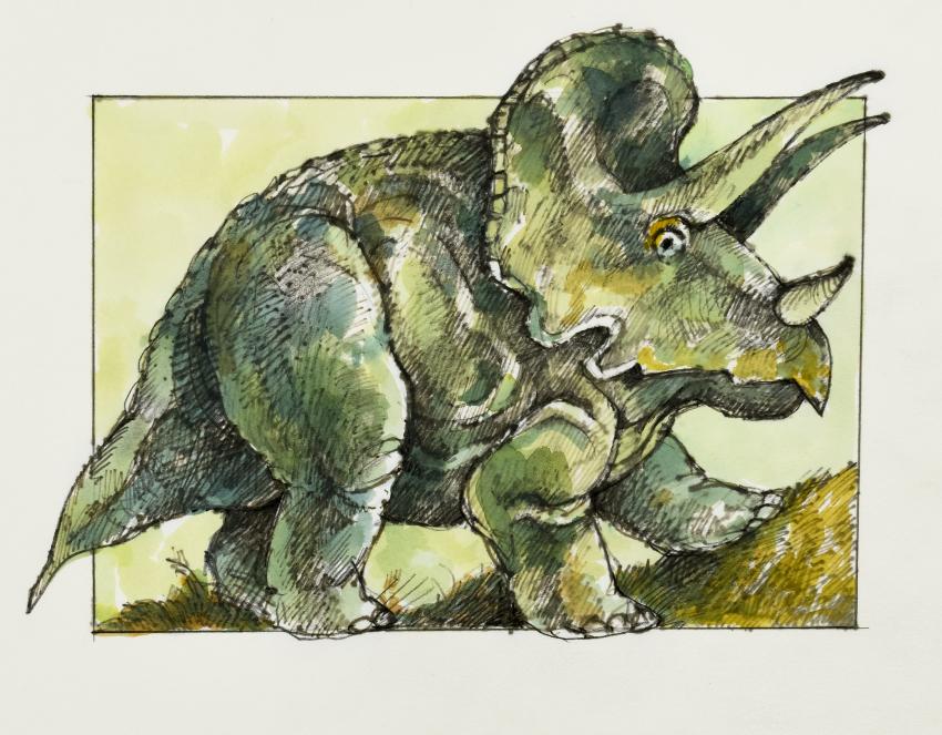 Illustration of triceratops. 