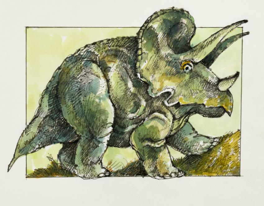 Illustration of triceratops.