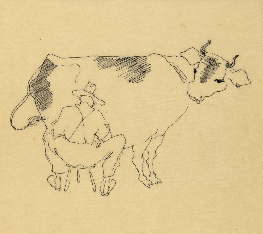 Illustration of man milking cow
