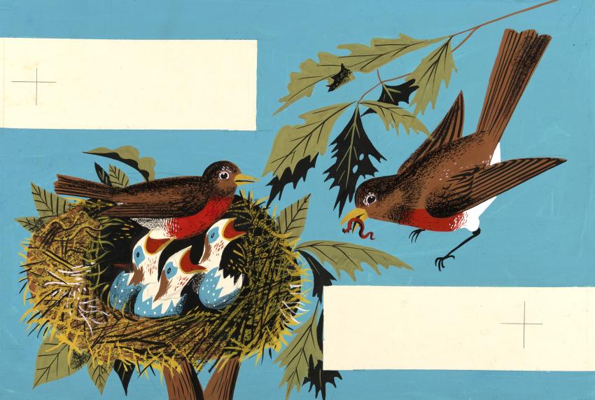 Illustration of birds in nest. 