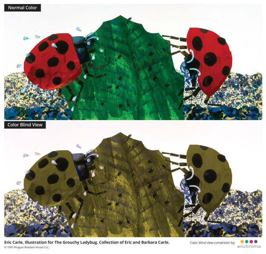 Normal and color blind view of illustration from The Grouchy Ladybug, showing two ladbugs on a leaf.