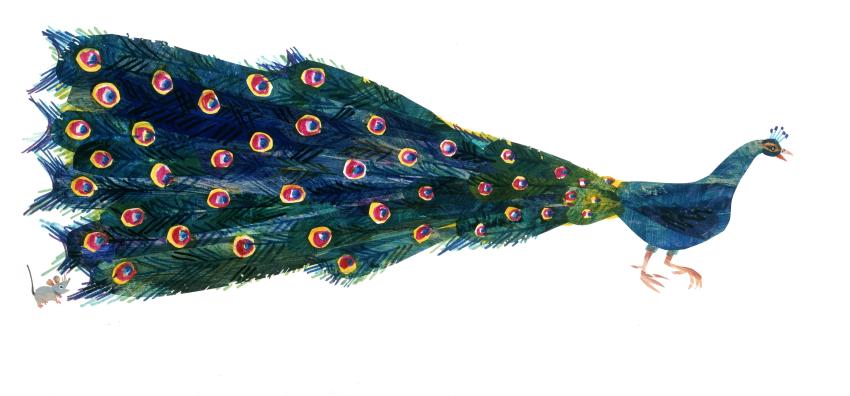 Illustration of peacock and mouse.