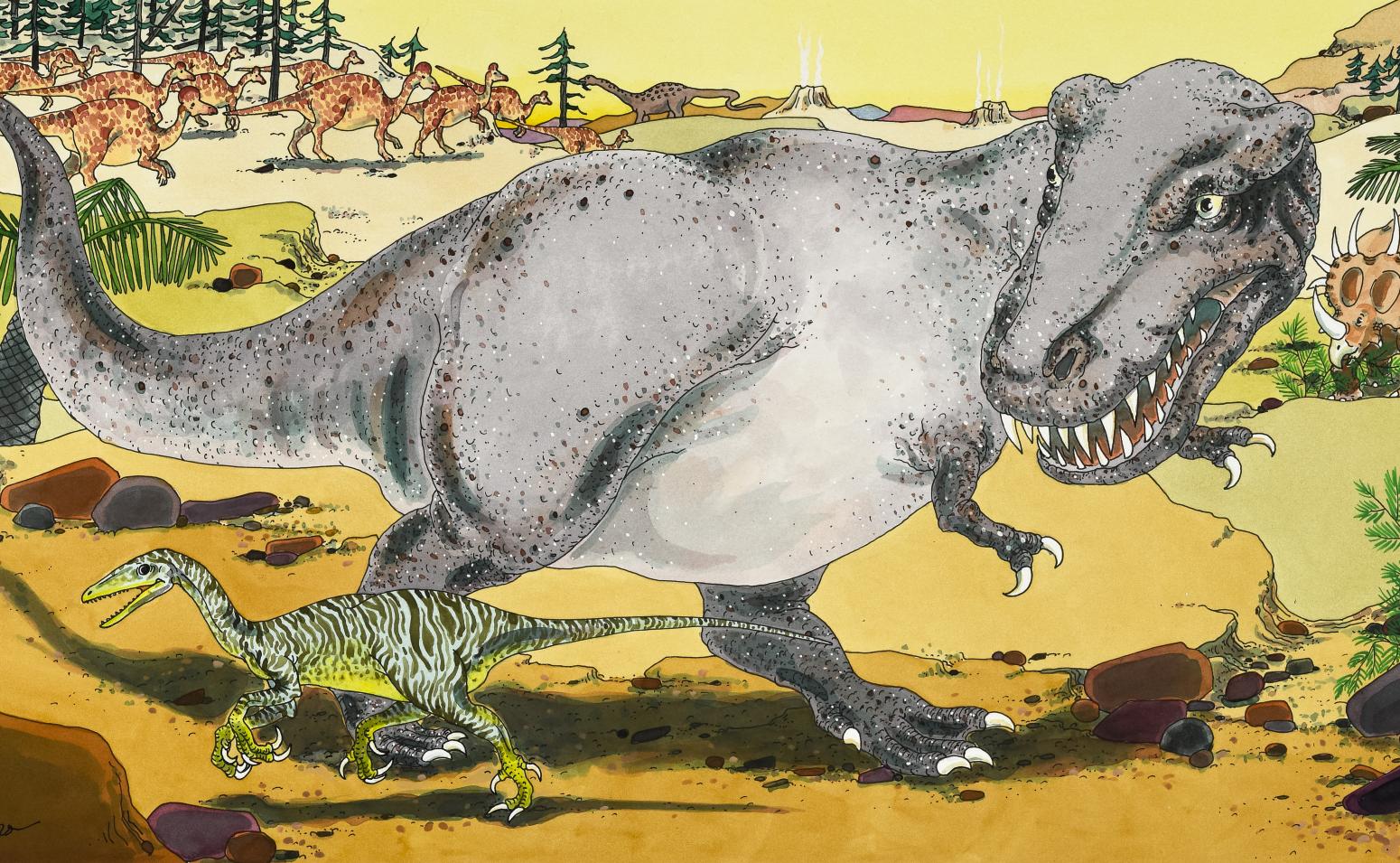 Illustration of Tyrannosaurus rex walking through landscape. 