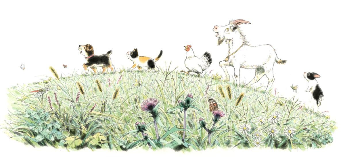 The Power of Picture Books | Carle Museum