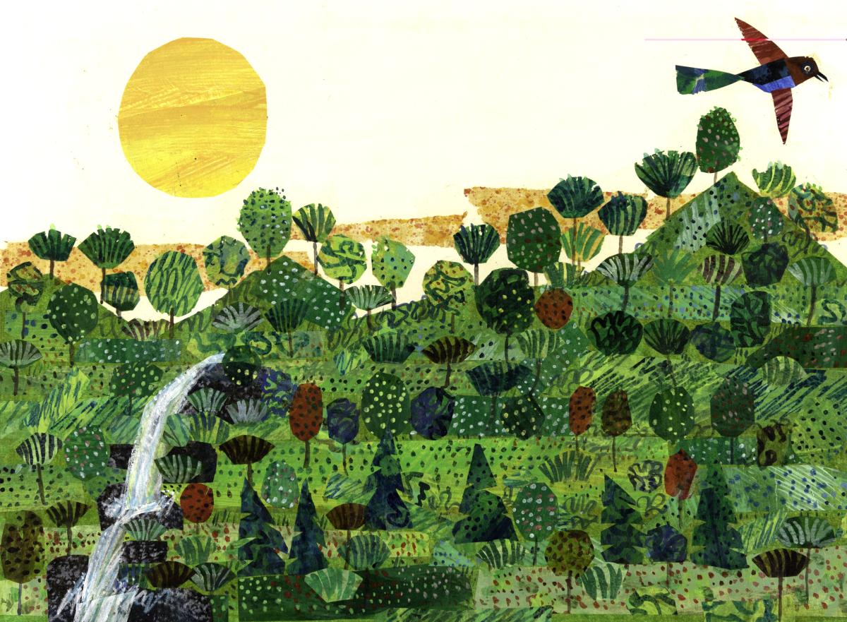 The Carle Presents Environmental Eric Carle Carle Museum