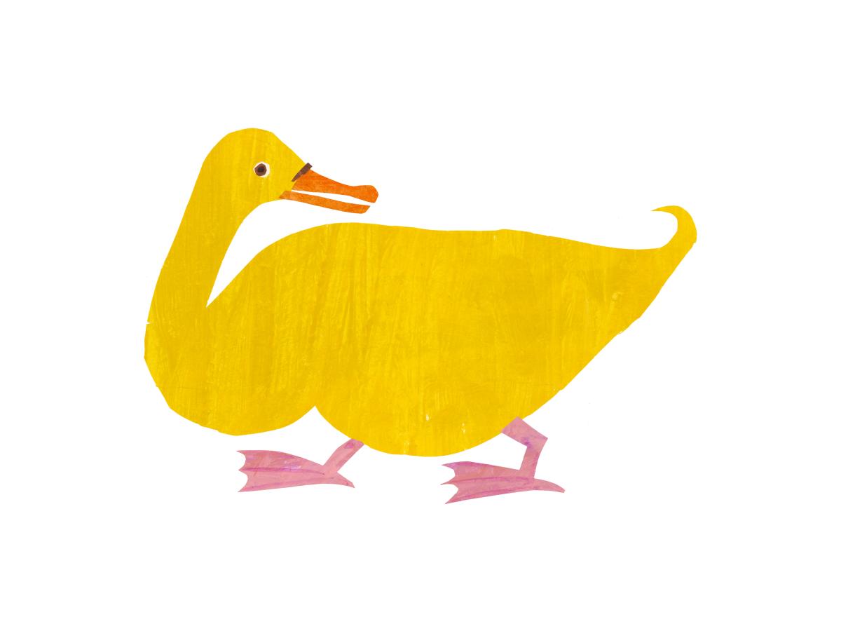 Eric Carle Animals and Friends Carle Museum