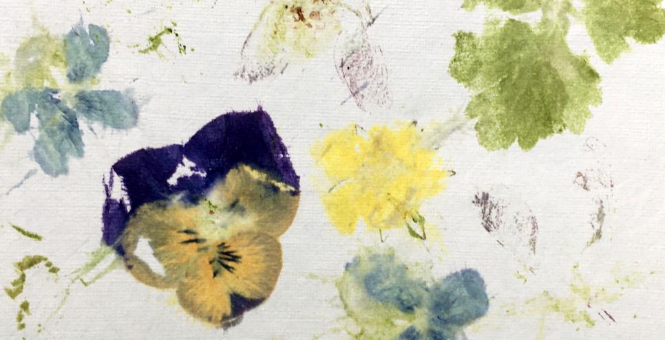 Print made from pressed springtime flowers