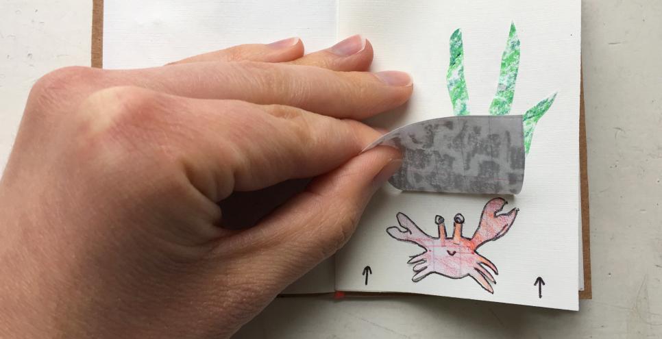 A hand pulling back a lift-flap on a hand-drawn book to reveal a crab drawing.