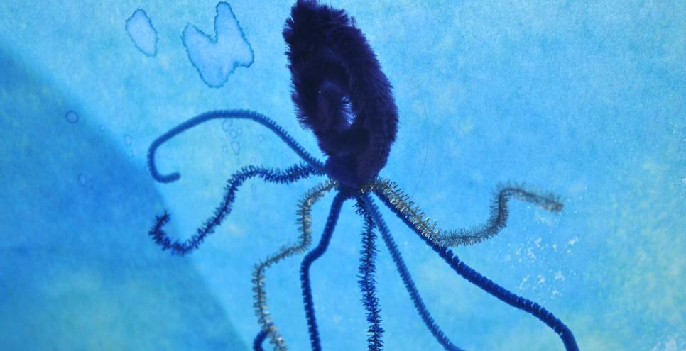 An octopus made out of pipe cleaners in front of a blue backdrop.
