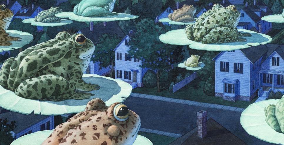 Frogs on lilipads flying across houses at nighttime. 