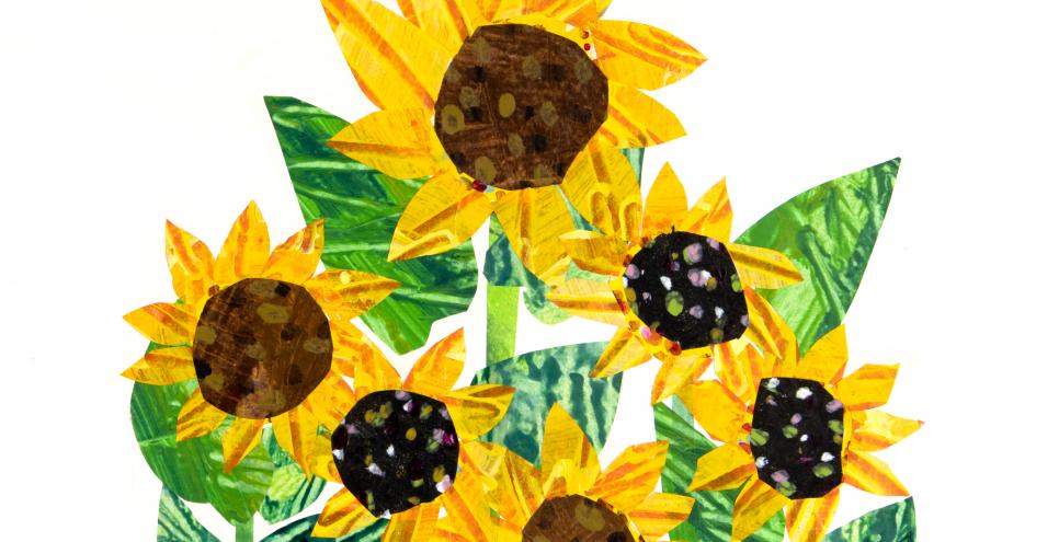 Illustration of sunflowers. 