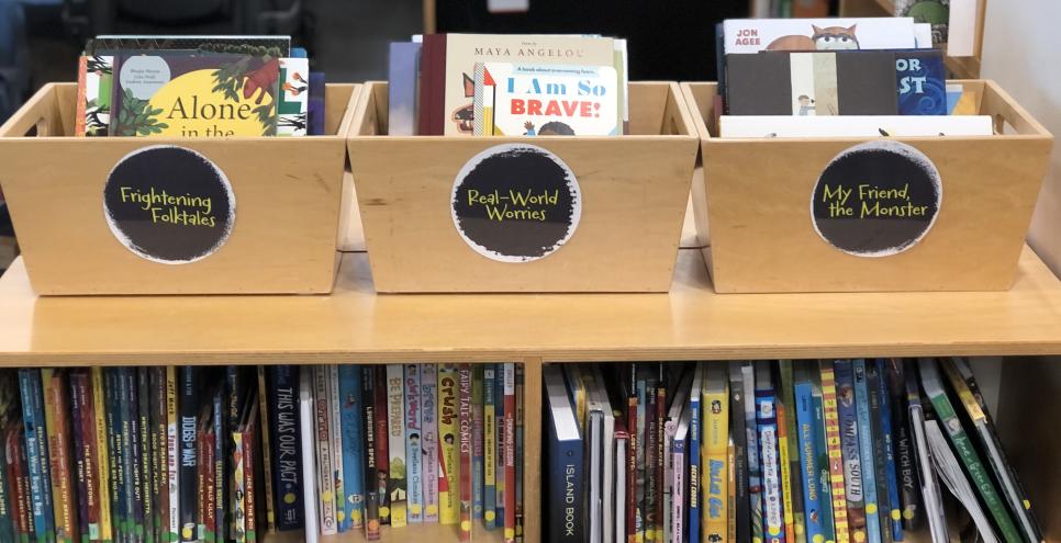 Three Book Bins in the reading library, titled Frightening Folktales, Read-World Worries, and My Friend, the Monster.