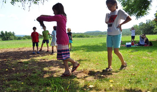 looking for natural materials