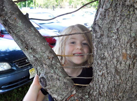 Andy Goldsworthy-Inspired Art from Nature | Carle Museum