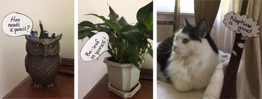 Three images of speech and thought bubbles taped next to objects and a cat. An owl pencil holder is saying “Hoo needs a pencil?” the plant is saying “Be-leaf in yourself!” and the cat is thinking “Naptime is great.”