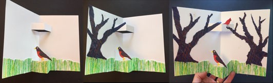 Three images showing the process of making a horizontally-oriented, nature-scene pop-up. One shows a card with a cut-out pop-up at the top of the card and a glued-in accordion fold at the lower part of the card. A collaged robin sits on the lower pop-up with green, textured grass. The second image shows a brown, torn-paper tree has been added to the left-hand side of the card. The final image shows another tree has been added to the right-hand side of the card, and a red cardinal is sitting on a branch that is on the upper pop-up.
