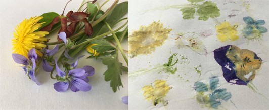 Two images: A small pile of wildflowers, seeds, and leaves. Prints made from the natural materials.