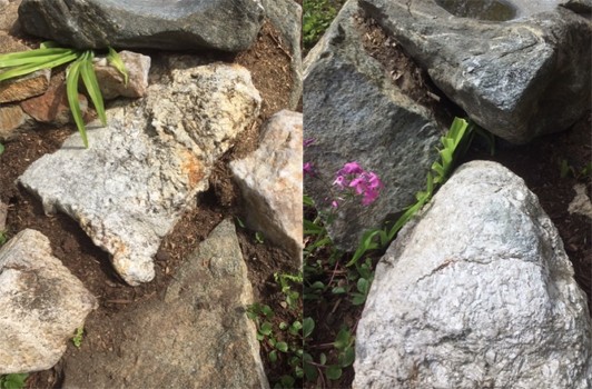 Two images of a rock garden with plants growing between the rocks and a potential chipmunk hole.